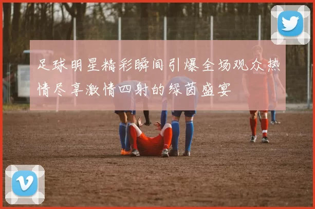 足球明星精彩瞬间引爆全场观众热情尽享激情四射的绿茵盛宴