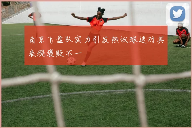 南京飞盘队实力引发热议球迷对其表现褒贬不一