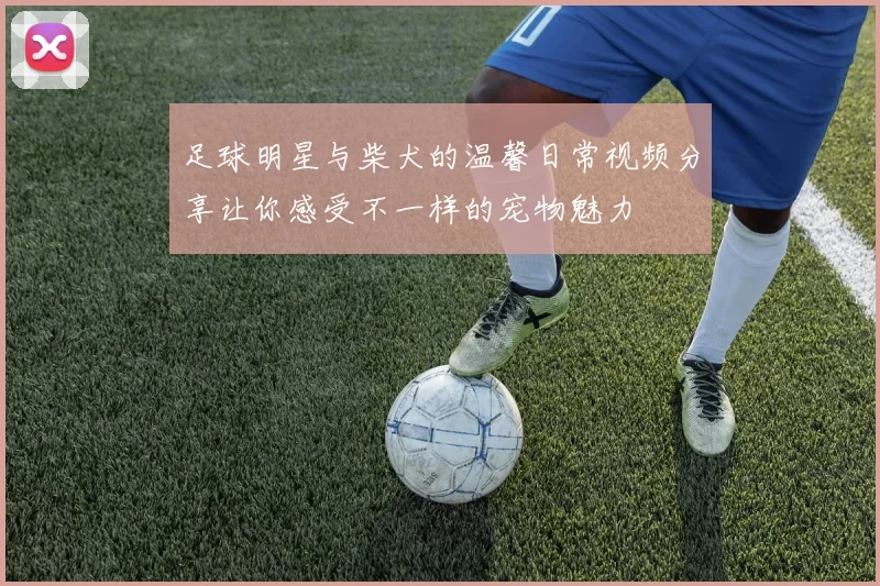 足球明星与柴犬的温馨日常视频分享让你感受不一样的宠物魅力
