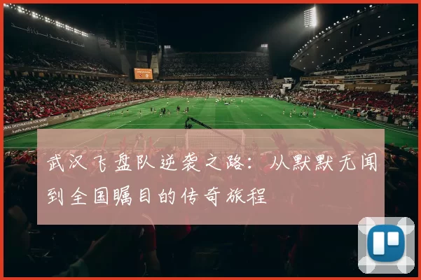 武汉飞盘队逆袭之路：从默默无闻到全国瞩目的传奇旅程