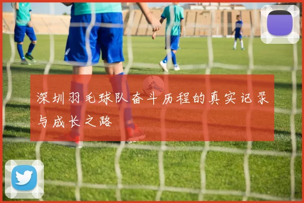 深圳羽毛球队奋斗历程的真实记录与成长之路