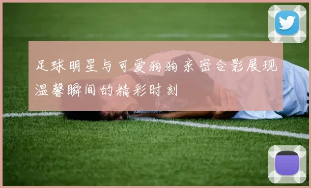足球明星与可爱狗狗亲密合影展现温馨瞬间的精彩时刻