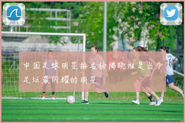中国足球明星排名榜揭晓谁是当今足坛最闪耀的明星