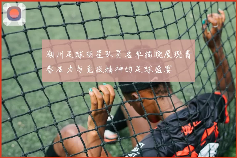 潮州足球明星队员名单揭晓展现青春活力与竞技精神的足球盛宴