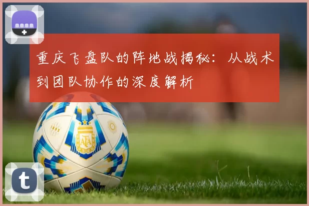 重庆飞盘队的阵地战揭秘：从战术到团队协作的深度解析