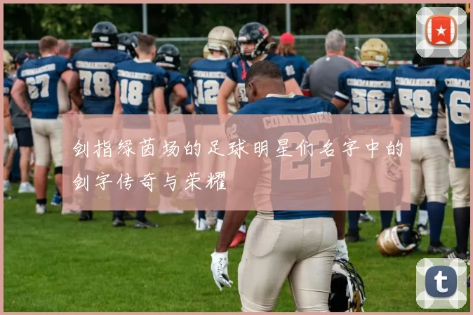 剑指绿茵场的足球明星们名字中的剑字传奇与荣耀