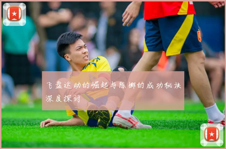 飞盘运动的崛起与陈娜的成功秘诀深度探讨