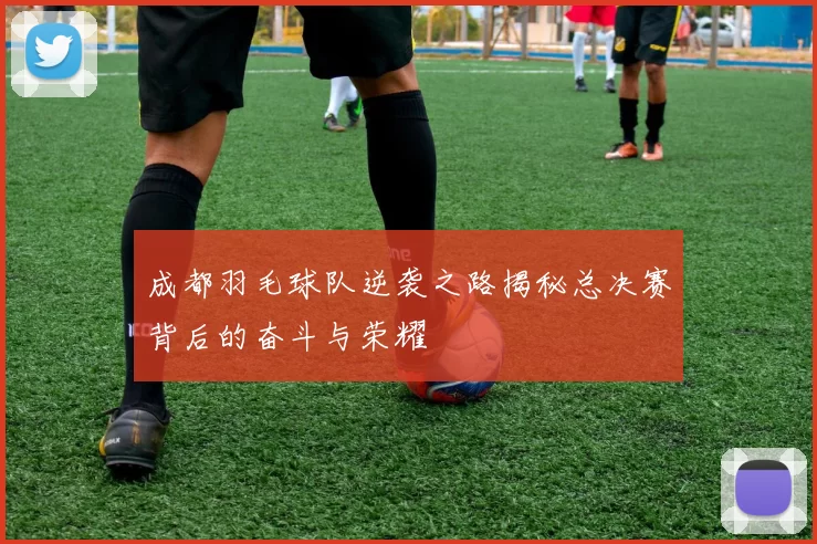 成都羽毛球队逆袭之路揭秘总决赛背后的奋斗与荣耀