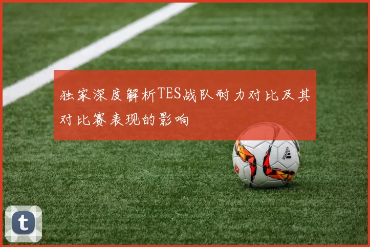 独家深度解析TES战队耐力对比及其对比赛表现的影响