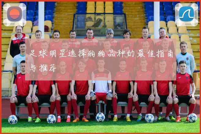 足球明星选择狗狗品种的最佳指南与推荐