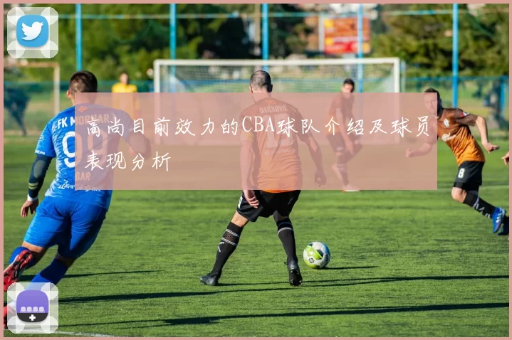 高尚目前效力的CBA球队介绍及球员表现分析