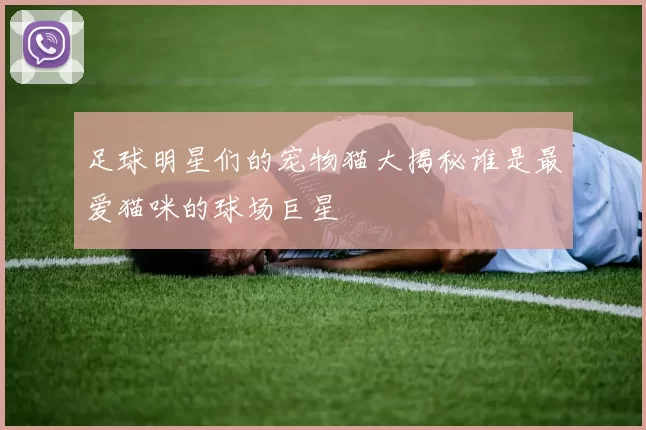 足球明星们的宠物猫大揭秘谁是最爱猫咪的球场巨星