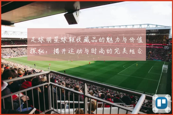 足球明星球鞋收藏品的魅力与价值探秘，揭开运动与时尚的完美结合
