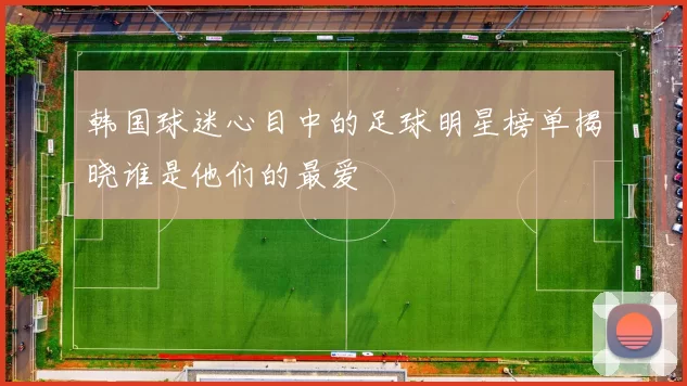 韩国球迷心目中的足球明星榜单揭晓谁是他们的最爱