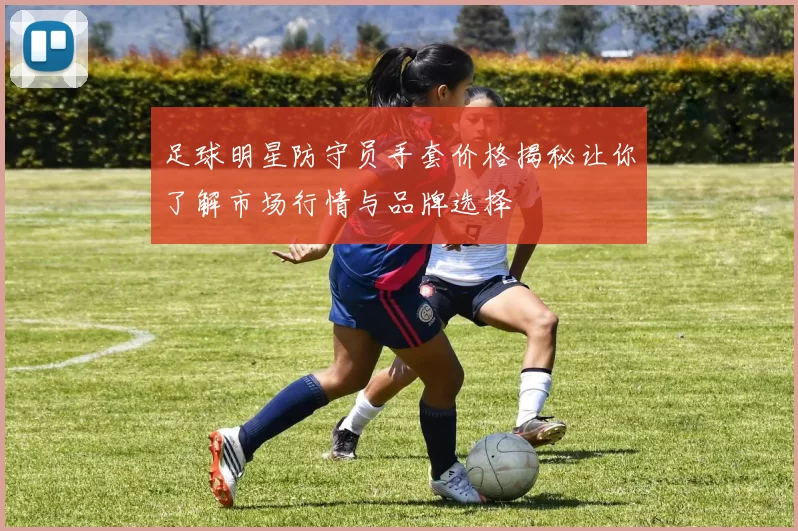 足球明星防守员手套价格揭秘让你了解市场行情与品牌选择