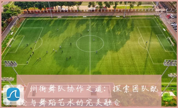 广州街舞队协作之道：探索团队配合与舞蹈艺术的完美融合