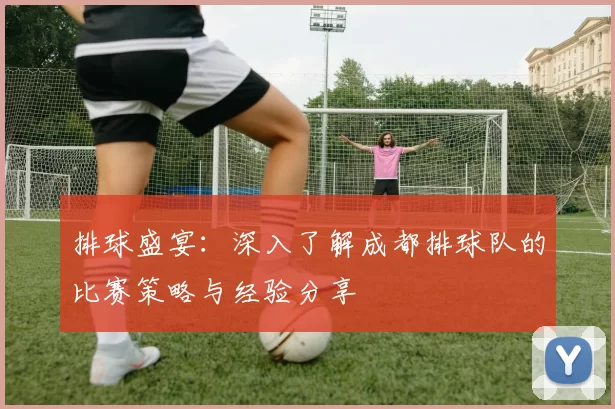 排球盛宴：深入了解成都排球队的比赛策略与经验分享