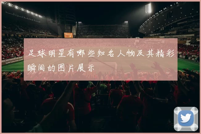 足球明星有哪些知名人物及其精彩瞬间的图片展示