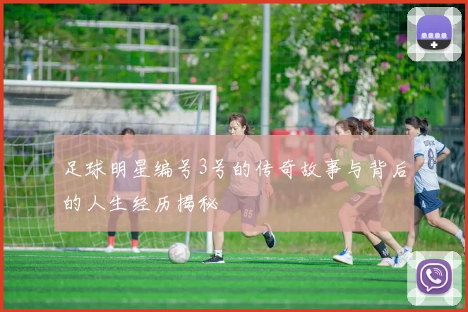 足球明星编号3号的传奇故事与背后的人生经历揭秘
