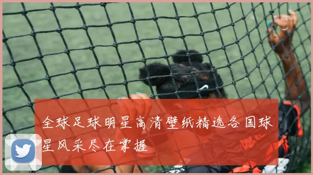 全球足球明星高清壁纸精选各国球星风采尽在掌握