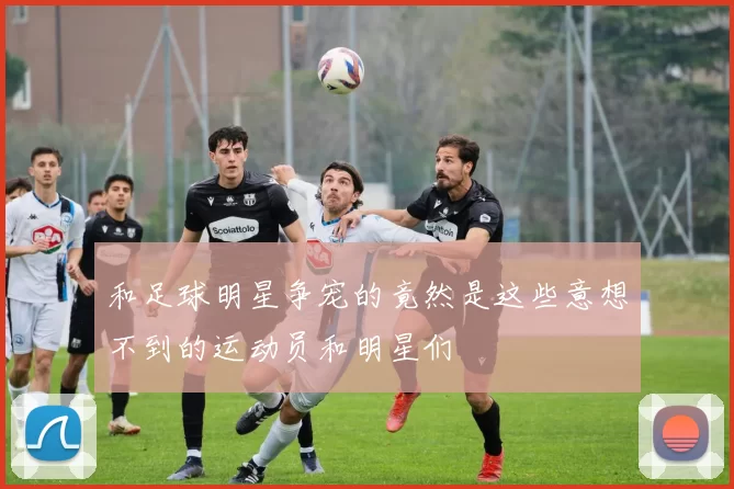 和足球明星争宠的竟然是这些意想不到的运动员和明星们
